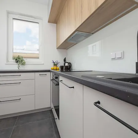 Lägenhet Air Conditioned In With Parking, Balcony And Bathtub By Renters Warszawa