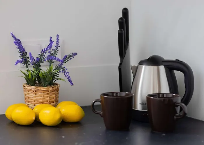 Air Conditioned In With Parking, Balcony And Bathtub By Renters شقة *